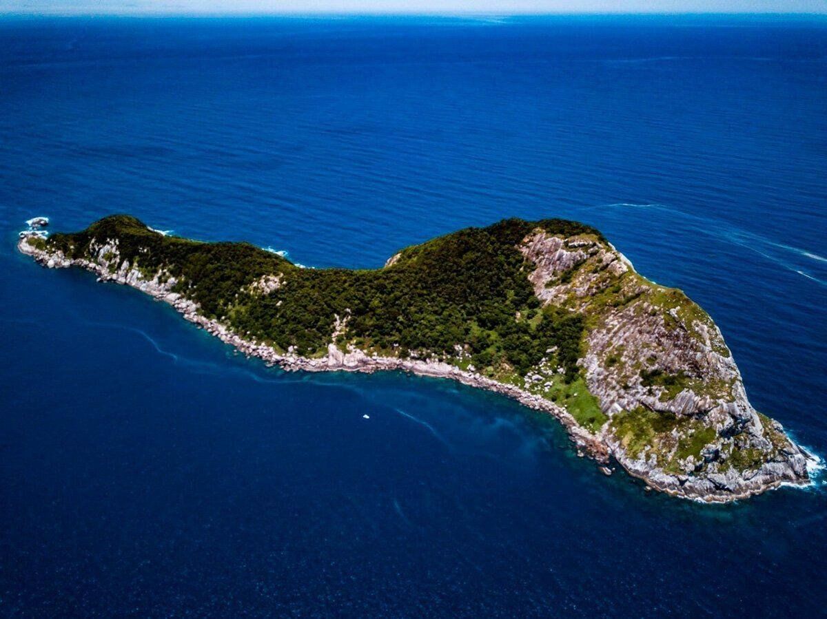 جاذبه های خطرناک دنیا-نمایی از  Snake Island in Brazil-گردشگران شیراز