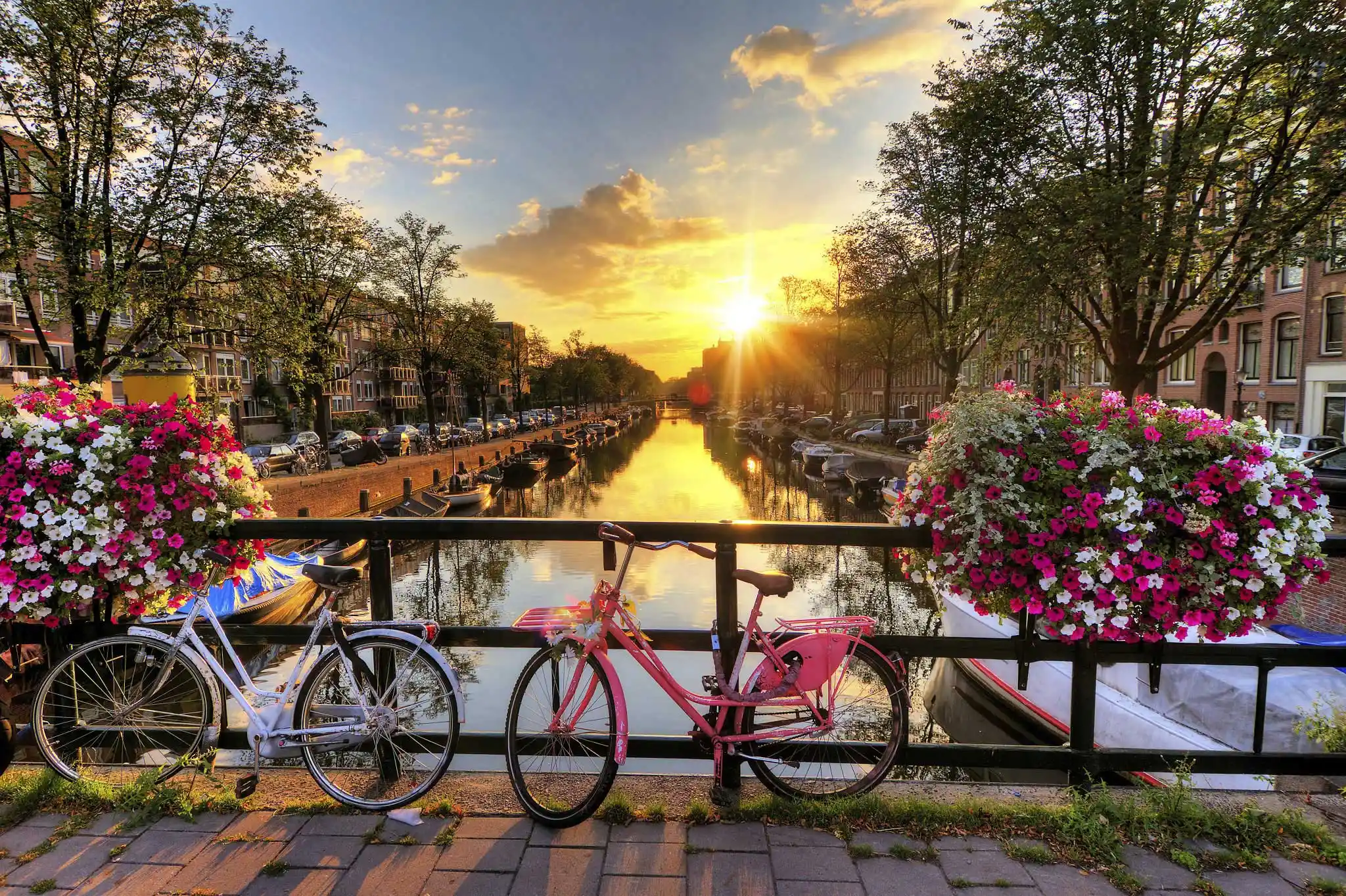 راهنمای سفر به هلند-نمایی از netherlands bycicle-گردشگران شیراز