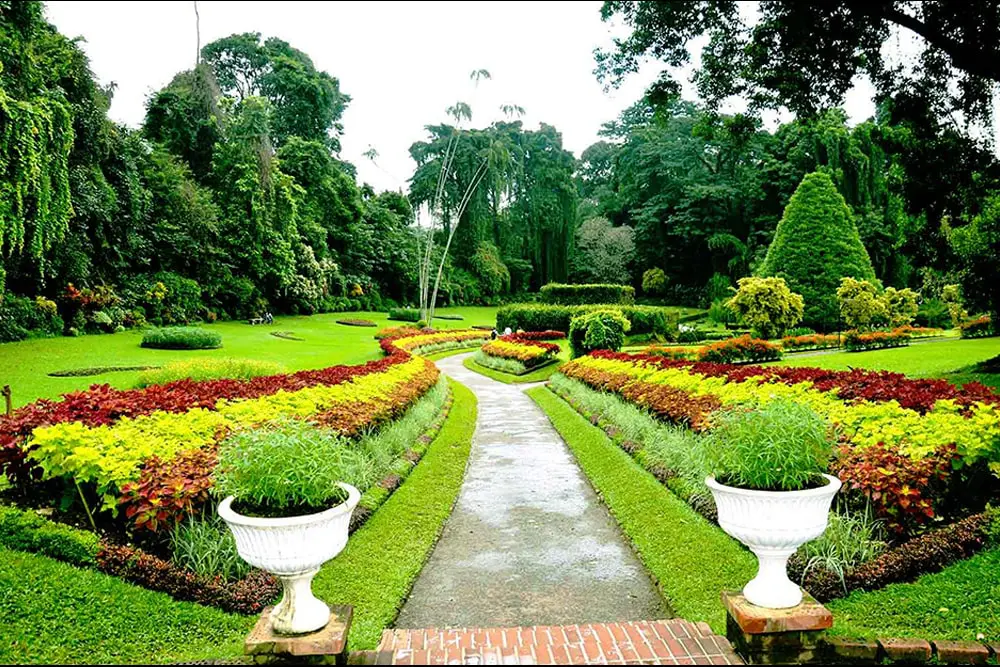 باغ گیه شناسی در سریلانکا