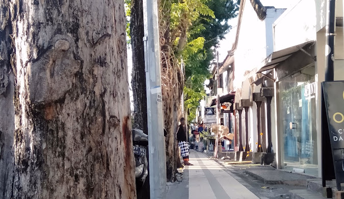 Bali (3)