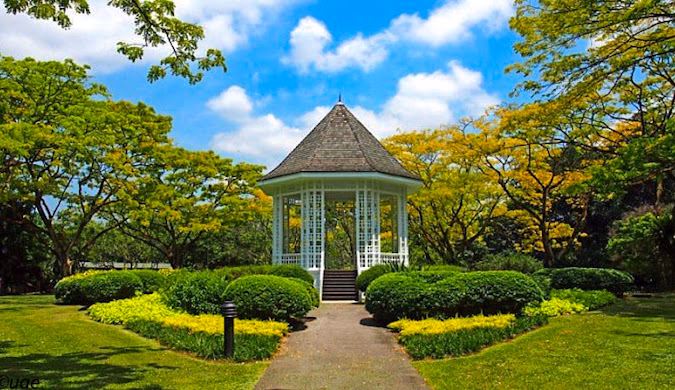 Singapore (4)