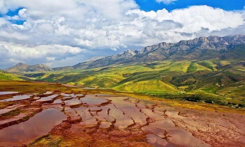 جنگل اروست - تور شمال - گردشگران شیراز