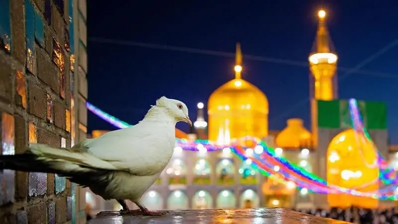 بهترین زمان سفر به مشهد - تور مشهد - گردشگران شیراز