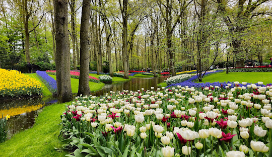 holand (3)