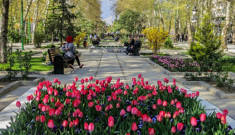 جاذبه های طبیعی اطراف مشهد در بهار - تور مشهد نوروز 1405 - تور مشهد - تور مشهد از شیراز - گردشگران شیراز
