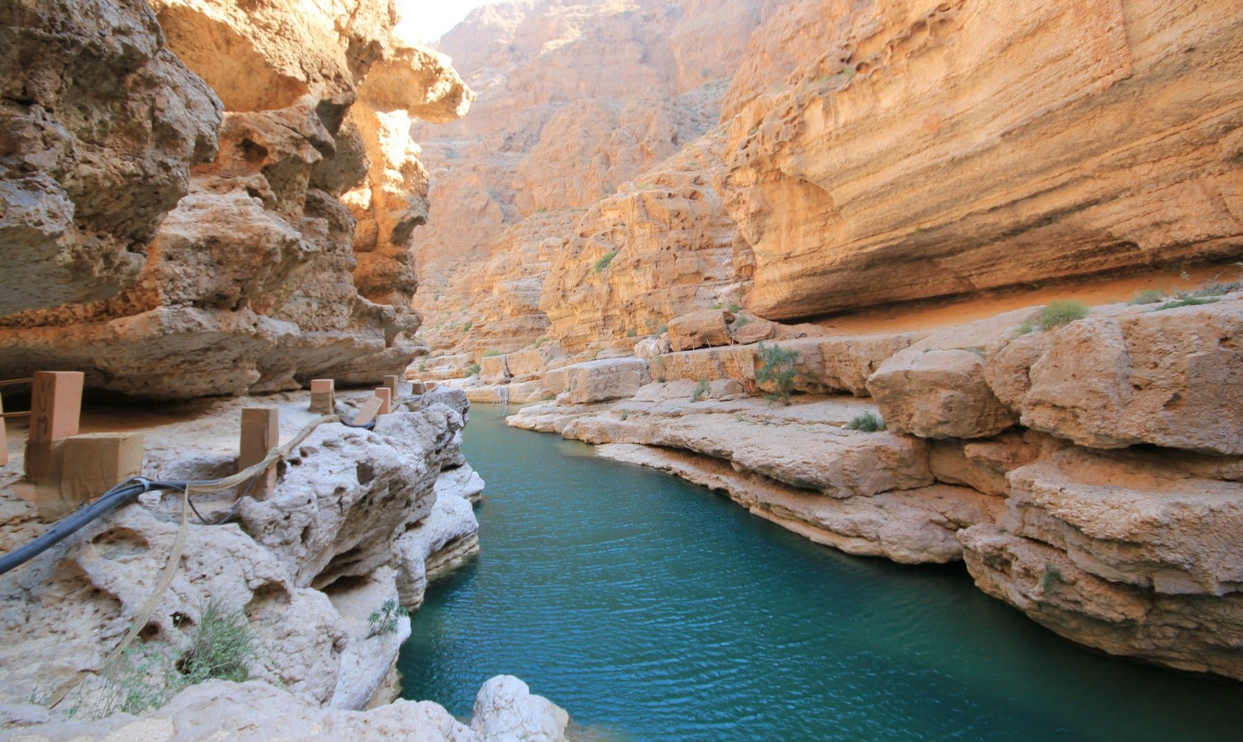 تور عمان - تور عمان از شیراز - تور عمان ارزان - تور عمان نوروز 1405