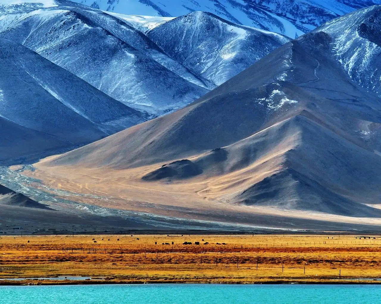 سفرهای ماجراجویانه برای نسل زد - گردشگران شیراز