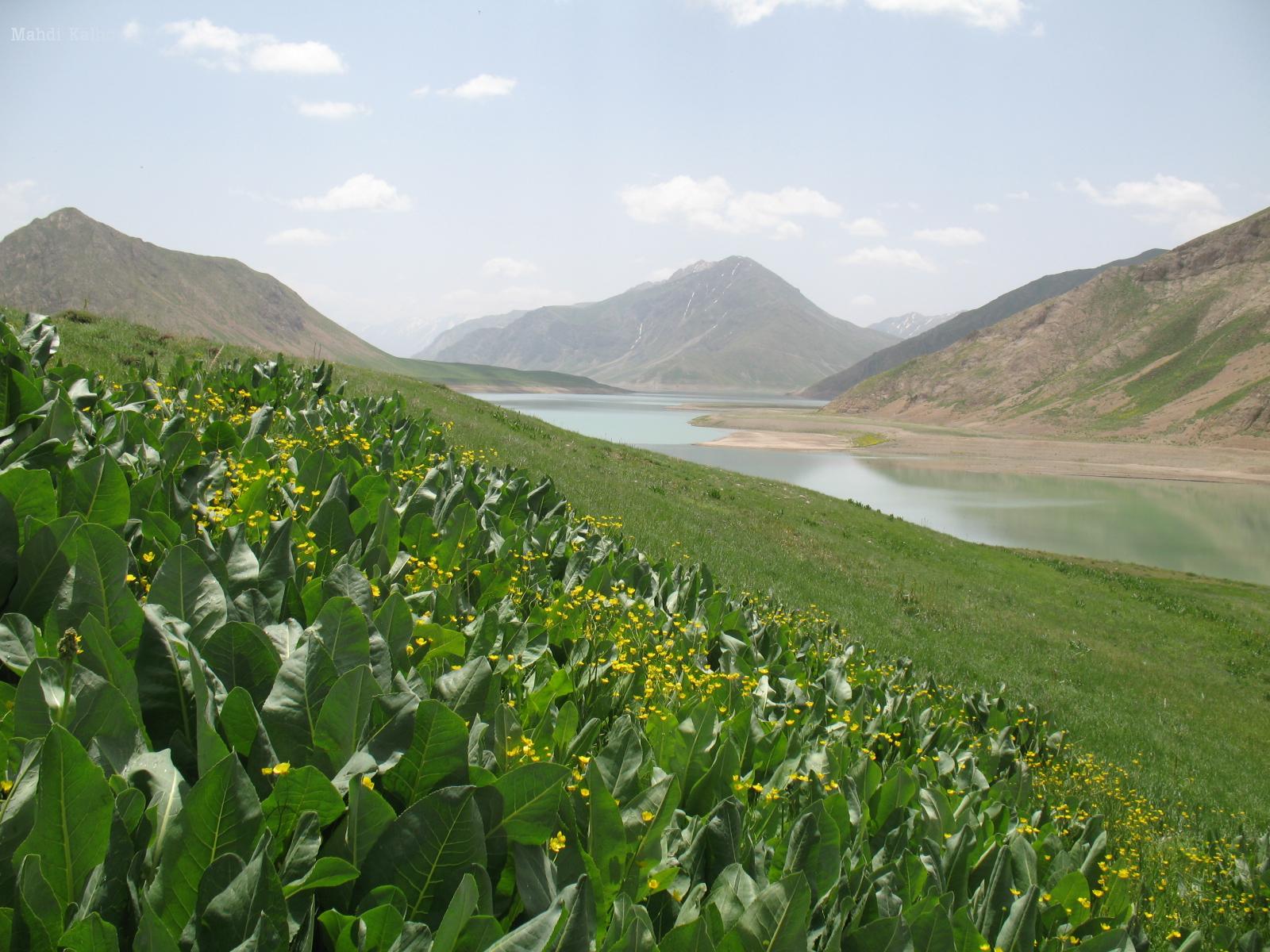 آسمان شب در ایران - گردشگران شیراز
