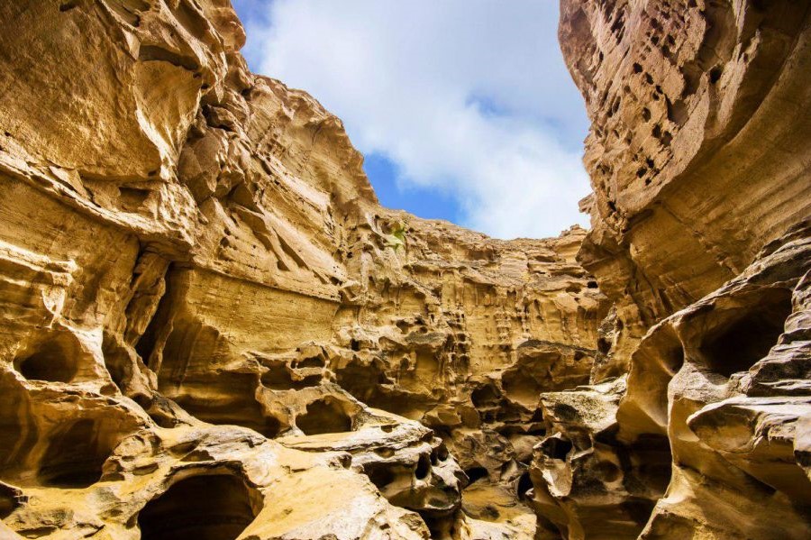 کیش یا قشم - گردشگران شیراز