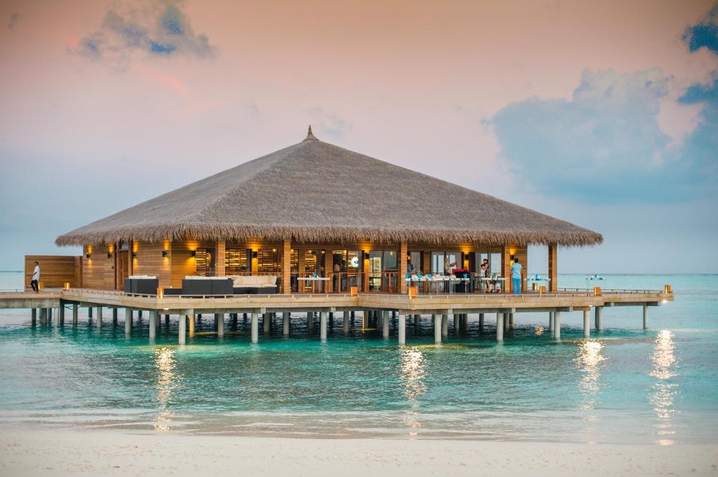 COCOON MALDIVES-گردشگران شیراز
