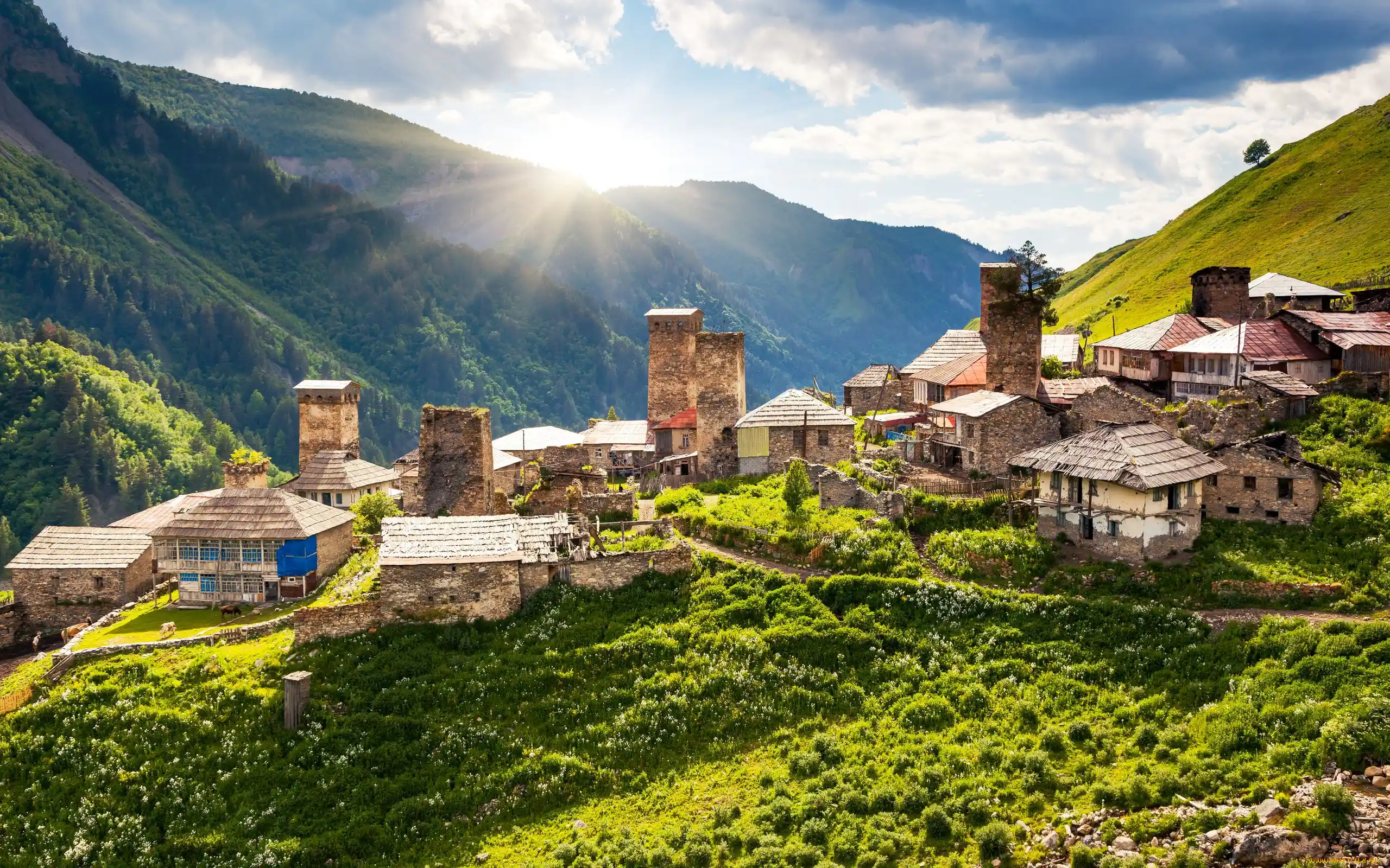 برنامه سفر ۵ روزه گرجستان-نمایی زیبا از طبیعت گرجستان-گردشگران شیراز