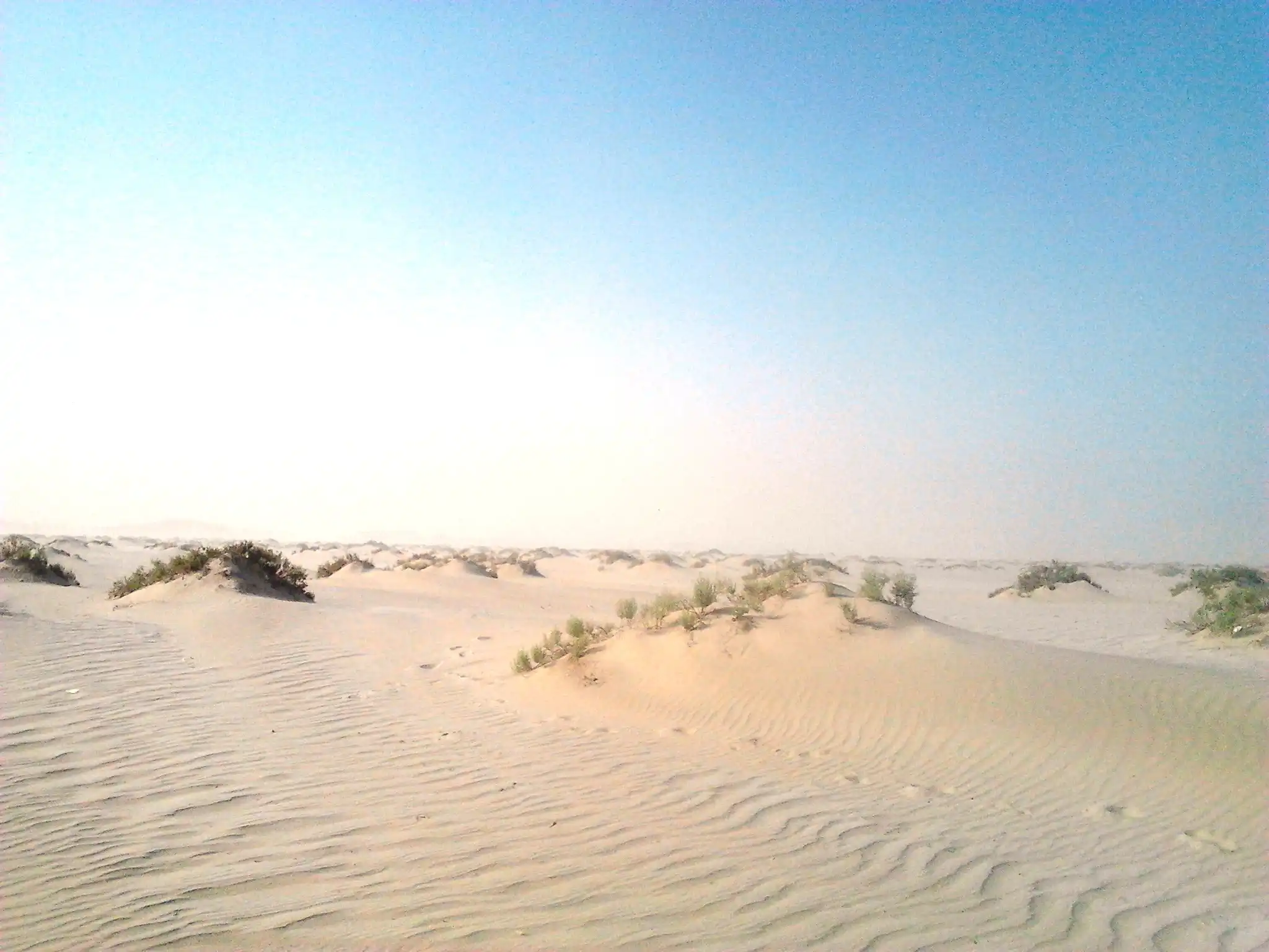 جاذبه های کمتر شناخته شده قطر-نمایی از جاذبه های کمتر شناخته شده قطر-نمایی از Buru Protected Area های قطر-گردشگران شیراز