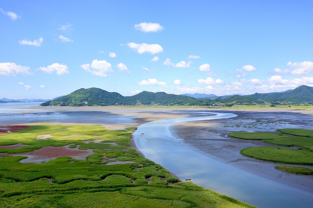 جاذبه های کمتر شناخته شده کره جنوبی-نمایی زیبا از Suncheon Lagoon کره جنوبی-گردشگران شیراز