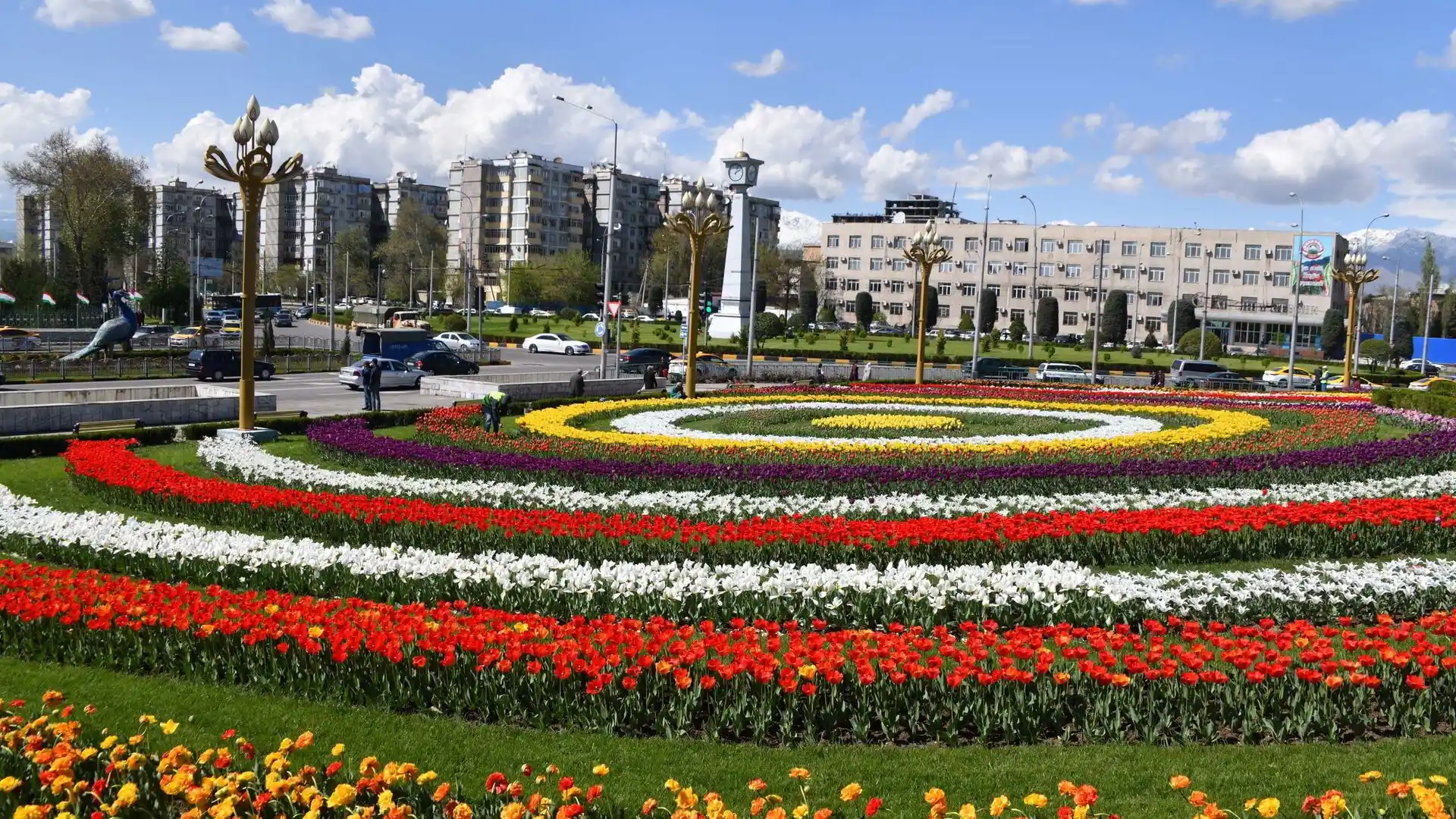 برنامه سفر ۴ روزه به تاجیکستان-نمایی از گل های زیباتاجیکستان-گردشگران شیراز