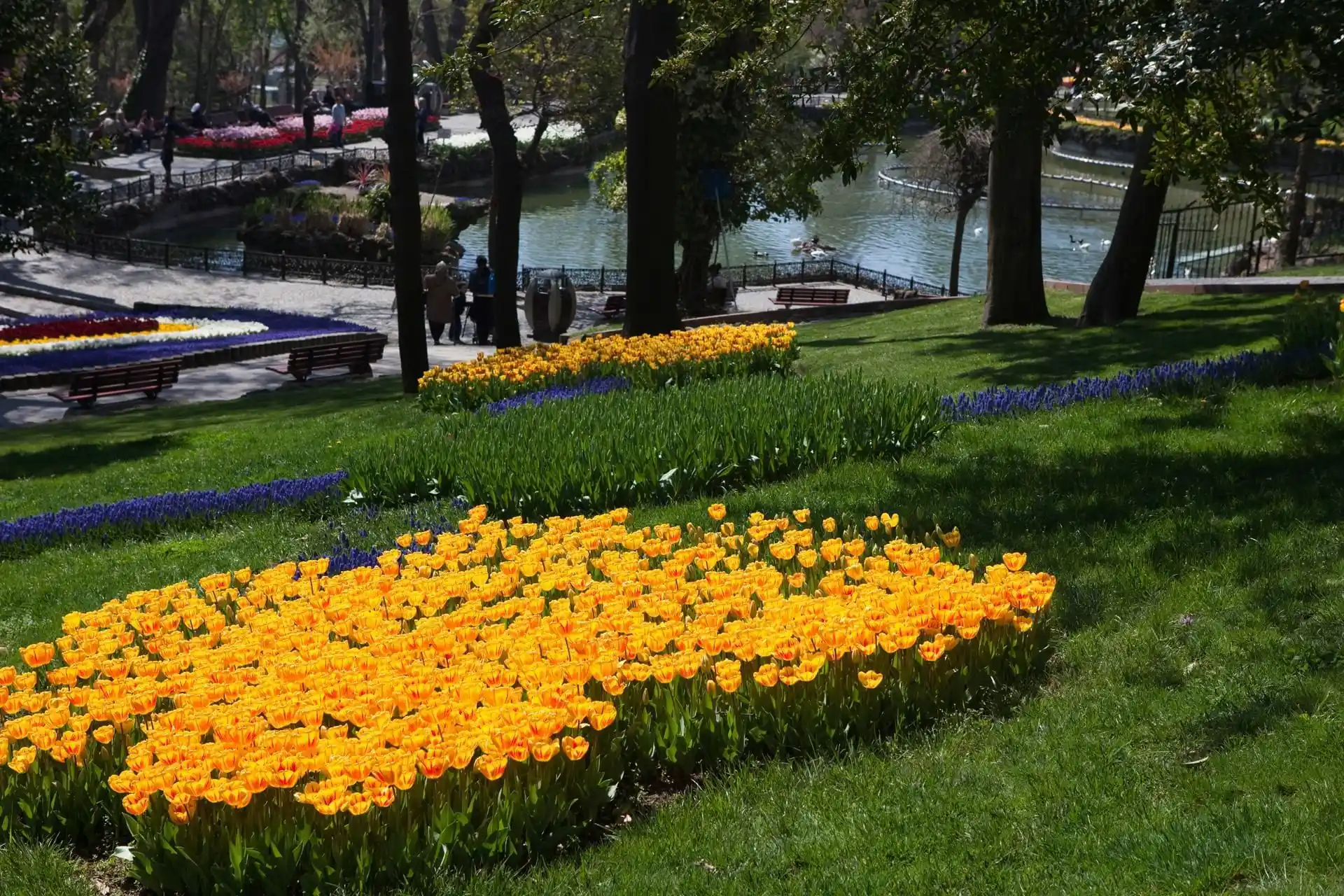 جاذبه های کمتر شناخته شده استانبول-نمایی از yildiz park -گردشگران شیراز