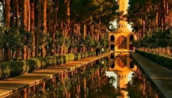 dolat-abad-garden-gardeshgarnshiraz-1-768x768