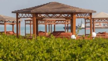 gheshm-with-gardeshgaranshiraz-1-768x768